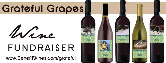 Benefit Wines